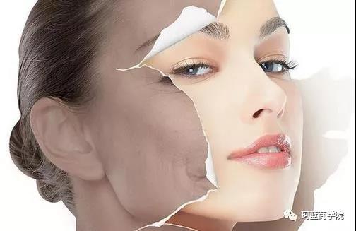 ����������Ʒ�������������������