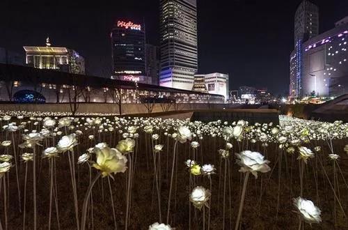 �桢�ԡ��䡢�� �������ĺ����� ob�羺������������!