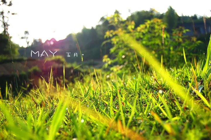 ���鿢�º�����������������ʲô?��ѡ6������������?