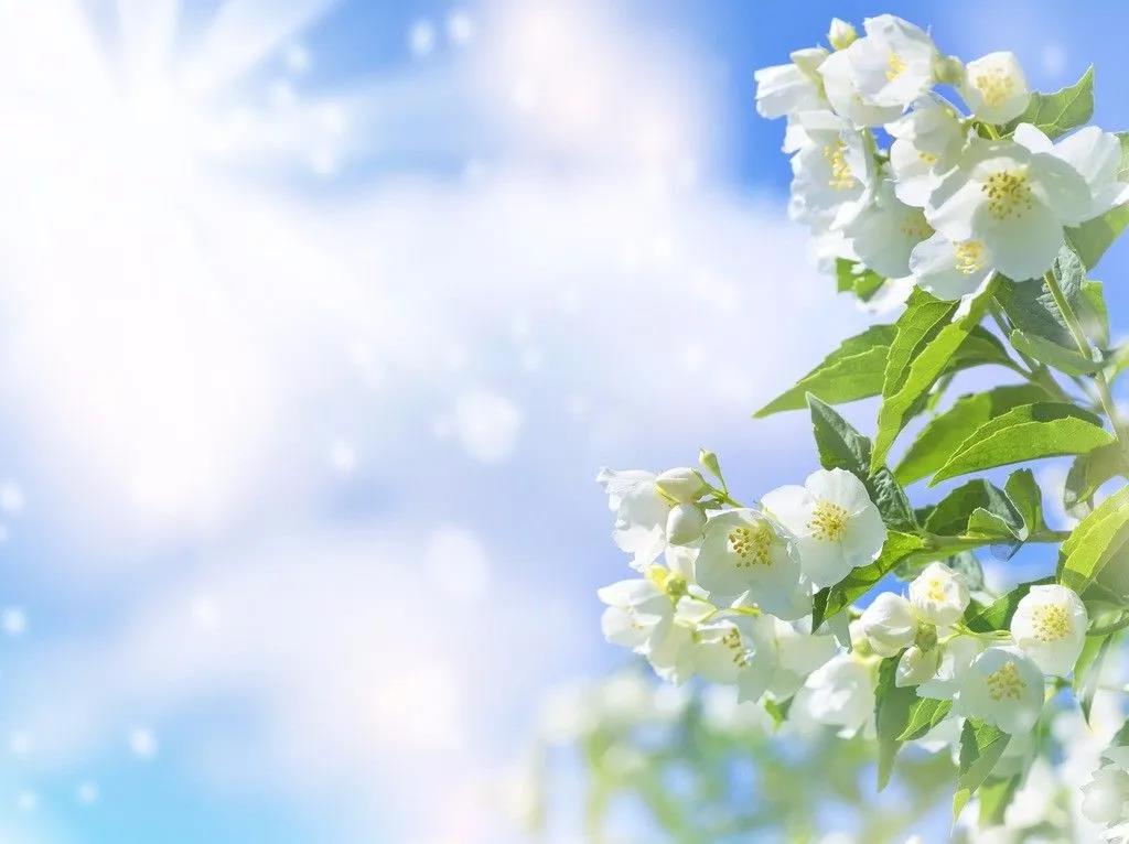 ���鿢�º�����������������ʲô?��ѡ6������������?