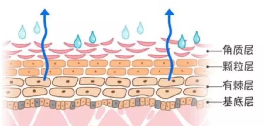 Ů����������ս���������������������������