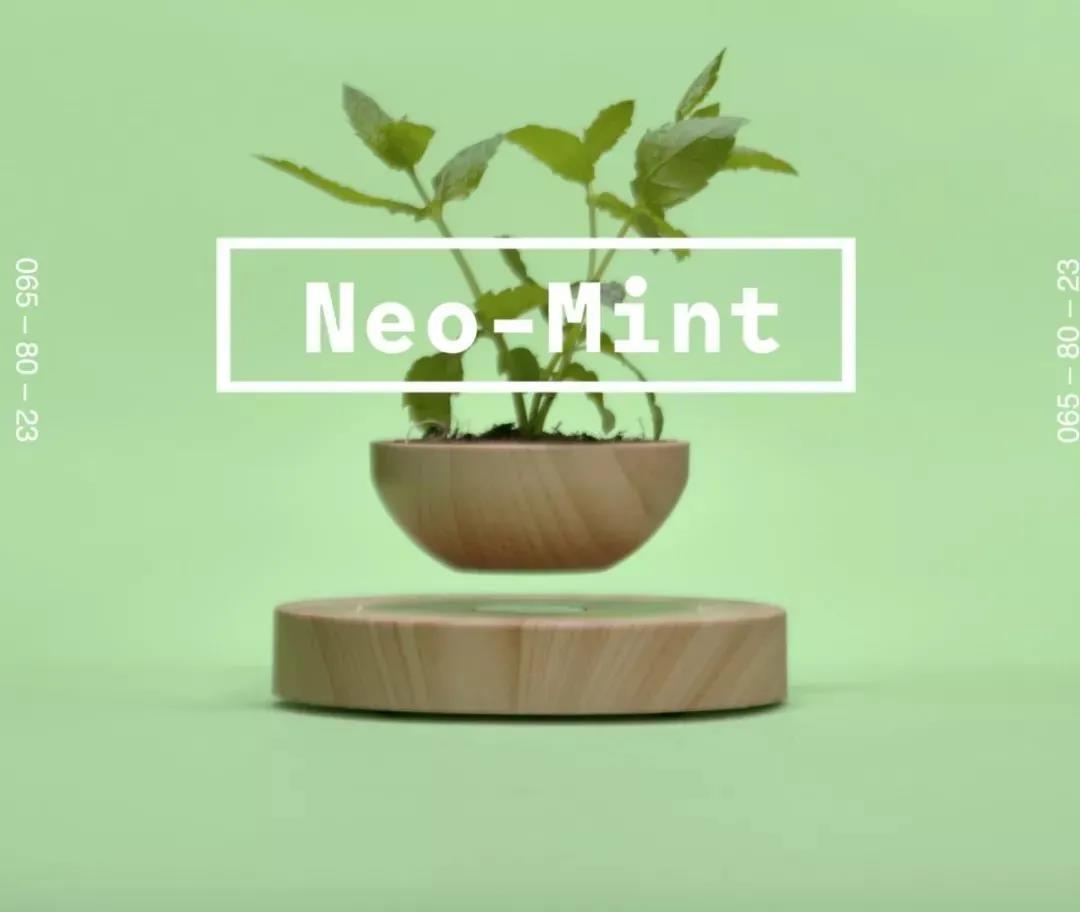 �۹ϳȡ������̡��Ž�ơ���2020����ʢ��ɫ������������ô�����԰�?