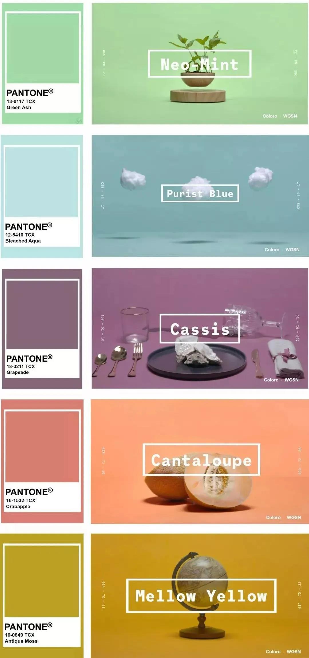 �۹ϳȡ������̡��Ž�ơ���2020����ʢ��ɫ������������ô�����԰�?