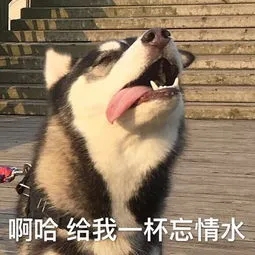 ��ɳĮ��Ƥ��ֻ֪������Ĥ?����4����Ƥ��ˮ����!